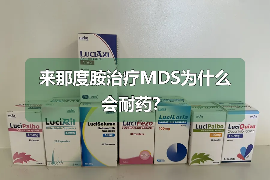 来那度胺治疗MDS为什么会耐药？