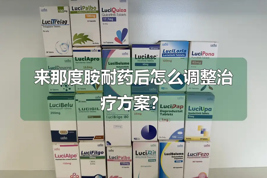 来那度胺耐药后怎么调整治疗方案？